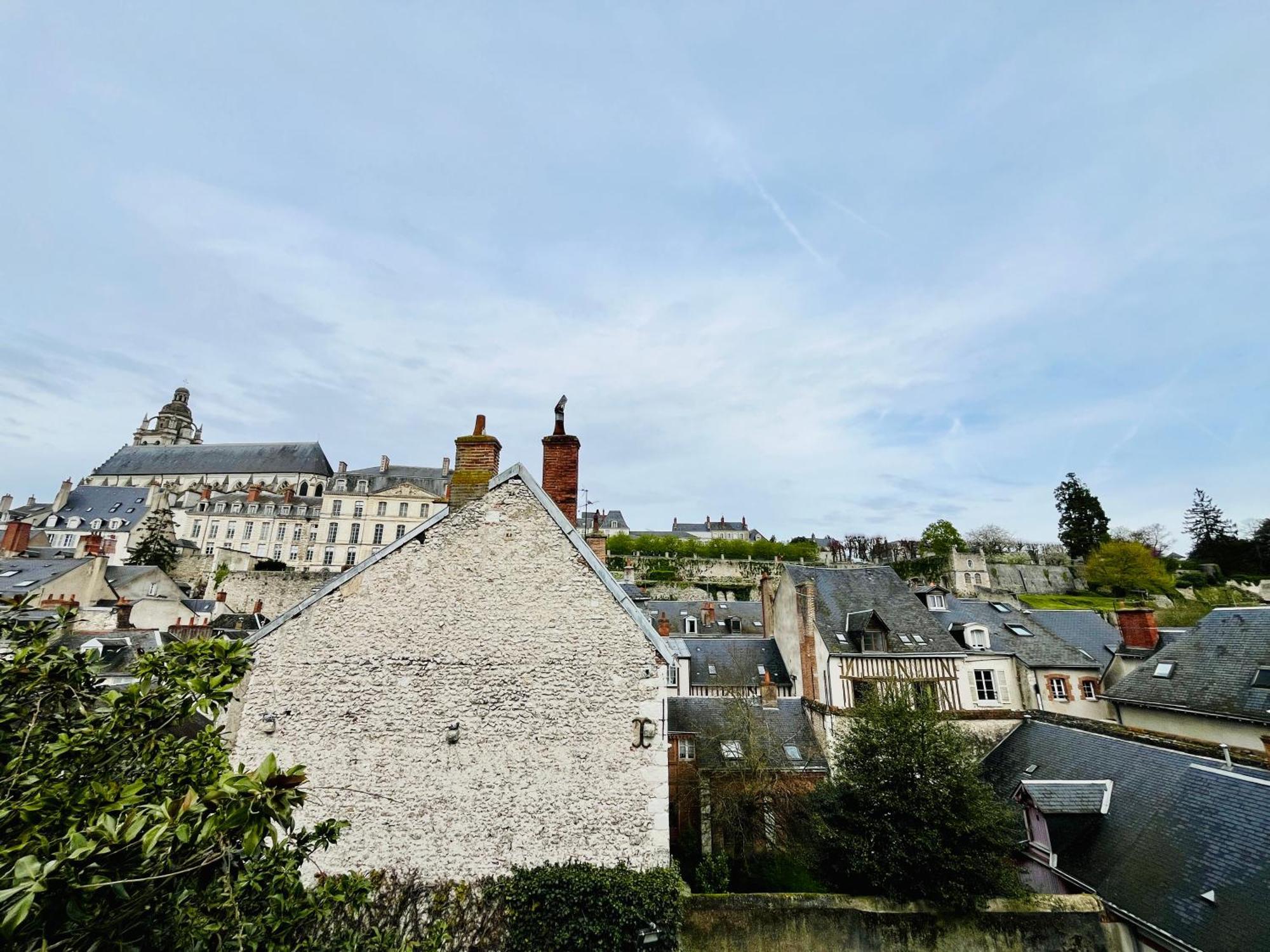 Vue Loire, Hypercentre, Spacieux, Familial, Climatise, Le Quai De Loire Apartment Blois Exterior photo